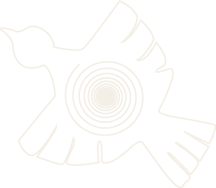 Cóndor
